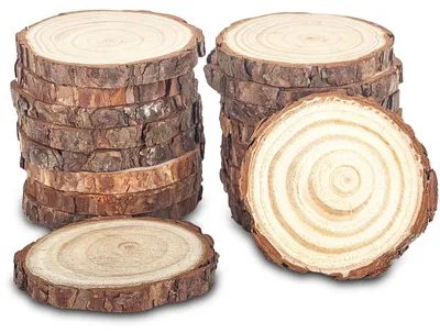 Holzscheiben 18 Stück, 8-10 cm, unbehandelt, für Basteln