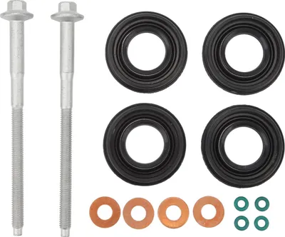 Imagen del producto de Juego de juntas para inyector de aceite y tornillos con juntas tóricas, referencia 1795871, repuesto para Citroen