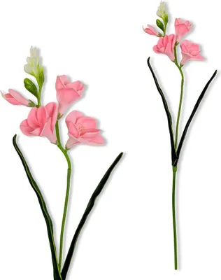 Produktbild von Künstliche Schaumfreesie, Hellrosa, 59 cm