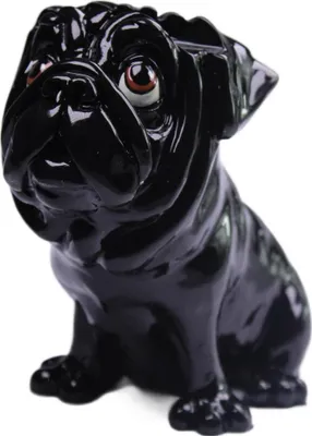 Image de Nez pour lunettes « Chien Carlin »
