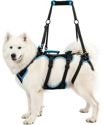 Immagine prodotto di Imbracatura regolabile per cani con maniglie di sollevamento