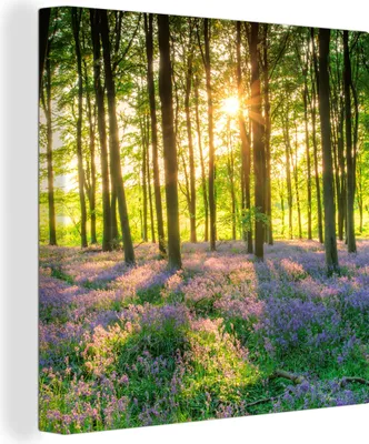 Produktbild von MuchoWow® - Leinwandbilder - Frühling - Wald - Sonne, Wandbild, Wanddeko Bilder Wohnzimmer, 90x90cm