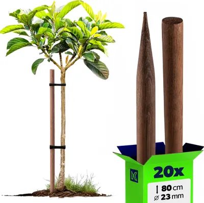 Produktbild von KADAX Holzstäbe 80 cm x 23 mm, 20er Set, Pflanzstäbe aus imprägniertem Holz, Holzpfähle als Rankhilfe für Pflanzen, Bäume, Tomaten & Sträucher, Tomatenstäbe (20 Stück, 80 cm)