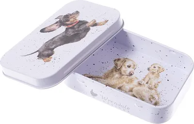 Produktbild von Wrendale Designs Minidosen That Friday Feeling Hund Dackel