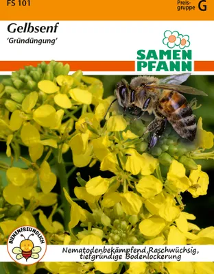 Produktbild von Gelbsenf Gründüngung | Gründünger von Samen Pfann