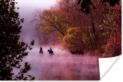 Produktbild von MuchoWow® Poster Pferde - Nebel - Wald 180x120 cm - Fotoplakat