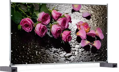 Produktbild von Wallario XXL Outdoor-Poster für Garten oder Balkon, Motiv Pinke Rosen mit Wassertropfen, in ca. 340 x 173 cm
