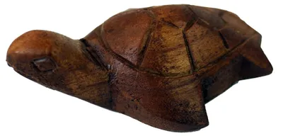 Produktbild von Geschnitzte Kleine Deko Figur - Schildkröte 4, Braun, Holz, 3*8*2 cm, Tierfiguren