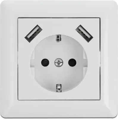 Image de DELOCK Einbausteckdose mit 2 x USB Typ-A Ladeport 2,8 A