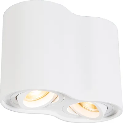 Produktbild von QAZQA - Design Moderner Spot I Spotlight I Deckenspot I Deckenstrahler I Strahler I Lampe I Leuchte weiß kippbar - Rondoo DuoI 2-flammig I Wohnzimmer I Schlafzimmer - Stahl Zylinder I Oval - LED geeig