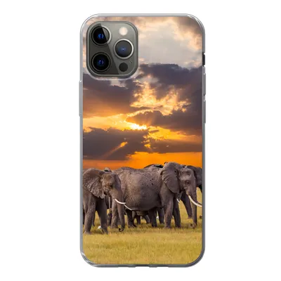 Produktbild von MuchoWow® Handyhülle Schutzhülle Hülle für iPhone 13 Pro Elefant - Tiere - Gras - Sonnenuntergang - Natur Silikon Softcase Handy Hülle - Handy-Tasche