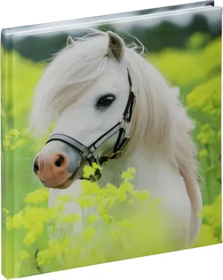 Produktbild von Pagna 20147-15, Schwarz, Grün, Weiß, 64 Blätter, 155 mm, 180 mm, 1,5 cm, 5 Stück(e)