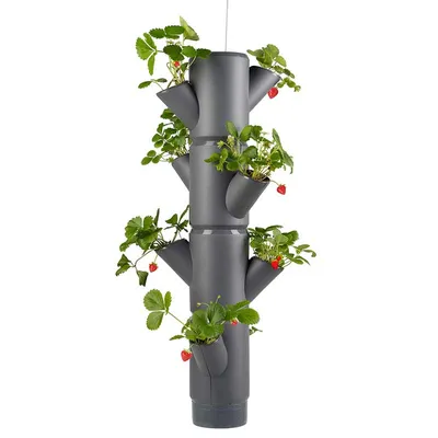 Produktbild von SISSI STRAWBERRY Erdbeerturm hanging anthrazit (4 Etagen) | Erdbeertürme von Gusta Garden