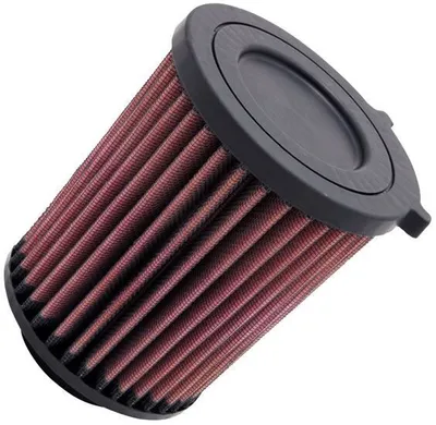 Image de Filtre à air K&N HA-4207 pour Honda TRX420 Rancher 07-13