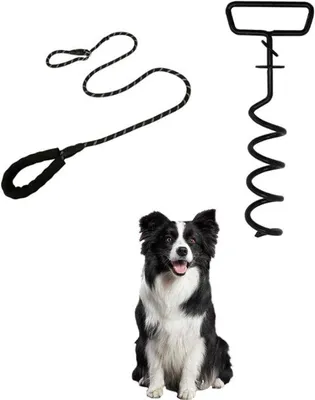 Produktbild von Hunde-Spaß-Set mit Schlauchseilen - Zelt- und Strand-Gebrauchsausstattung - Große Hunde - Rasen-Spielanlagen mit Dachkonstruktionen