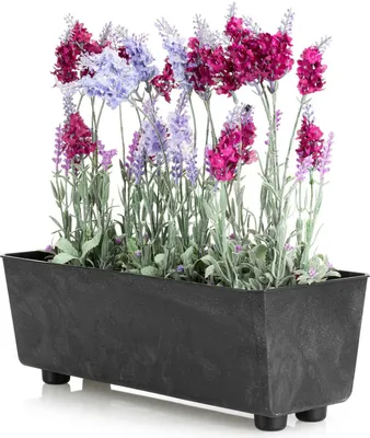 Image de HowHomely | Jardinière - Salvia - 37,5x17 cm - Béton noir - Design minimaliste - Résistant aux intempéries