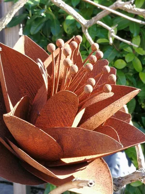 Produktbild von Edelrost Blume Elleonore