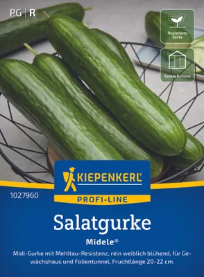 Produktbild von Kiepenkerl Salatgurkensamen Midele F1 Cucumis sativus 5 Pflanzen