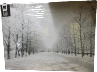Produktbild von LED Bild Winterlandschaft Weihnachten Leinwand Wandbild 40 x 30 cm