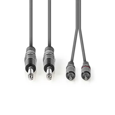 Produktbild von Nedis Stereo-Audiokabel - 2x 6.35 mm Stecker - 2x RCA Stecker - Vernickelt - 3.00 m - Rund - Dunkelgrau - Kartonhülle