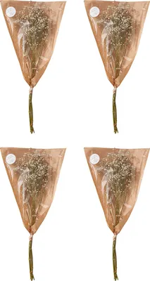Produktbild von BUTLERS Trockenblume FLOWER MARKET 4er-Set