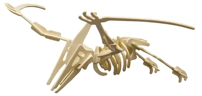 Productafbeelding van Houten bouwset 3D puzzel Pterodactylus