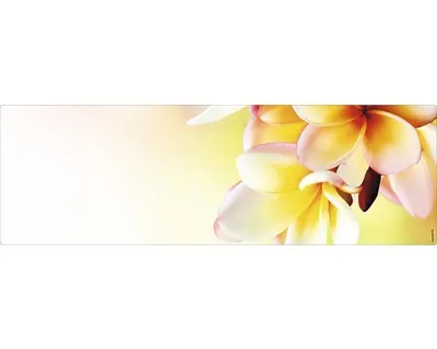 Produktbild von mySPOTTI Badrückwand aqua Hawaii 140x45 cm