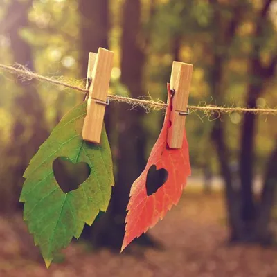 Produktbild von RP 20 Servietten Love Fall 33x33cm