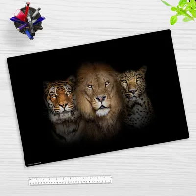 Produktbild von Schreibtischunterlage für Kinder und Erwachsene - Raubkatzen Löwe Tiger Leopard – 60 x 40 cm – aus Premium Vinyl –  Germany