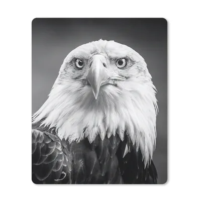 Produktbild von MuchoWow® Mauspad Mousepad Adler - Raubvogel - Schwarz - Weiß - Tiere 30x40 cm - Mousepads - Maus Mat - Pad - Mausunterlage - Mausmatten