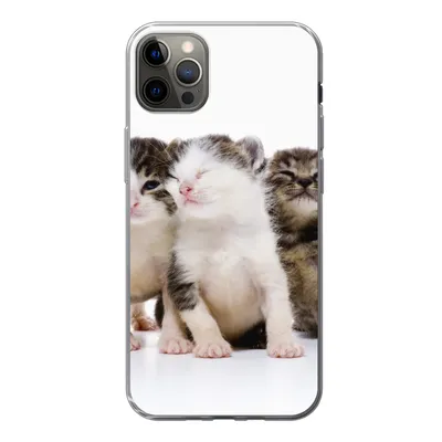 Produktbild von MuchoWow® Handyhülle Schutzhülle Hülle für iPhone 12 Pro Max Katze - Haustiere - Fell - Porträt Silikon Softcase Handy Hülle - Hartschale