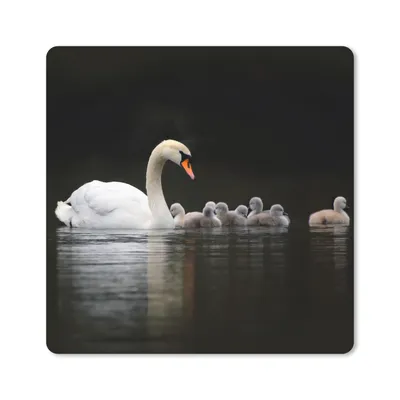 Produktbild von MuchoWow® Mauspad Mousepad Vögel - Schwan - Küken 20x20 cm - Mousepads - Maus Mat - Pad - Mausunterlage - Desk Mat - Bureauartikeln