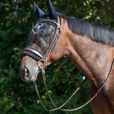 Produktbild von QHP Ohrenhaube mit Fliegenschutzmaske