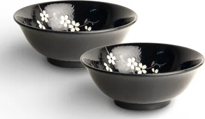 Produktbild von Japan-Bowls ASIATICA | Ramen Bowl Porzellan-Schalen - Anemone 21 cm