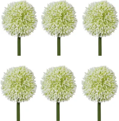 Produktbild von 6er Set künstliche Allium Kugelblüten weiß H. 64cm Blüte D. 11cm GASPER