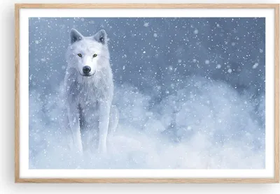 Produktbild von Gerahmtes Poster - Rahmen in heller Eiche - Weiß Wolf Schnee - 91,5x61 cm - Wand Bild - Wanddeko - Wandbilder - Kunstposter - Wandposter - Bilderrahmen - Bilder - Kunstdruck - P2NAA91x61-5006