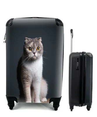 Produktbild von MuchoWow® Koffer Handgepäck Trolley Rollkoffer Kleine Reisekoffer mit 4 Rollen - Katze - Haustiere - Licht - Cabin Size < 55x40x23 cm & 55x40x20 cm - Fotokoffer - Kabinenkoffer - Boardgepäck - Reise-Box - Reisekoffer - Reisegepäck - Koffer mit Bild - Trolley für Kinder