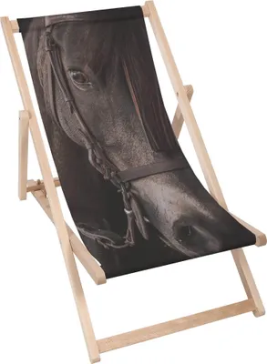 Produktbild von Dreamroots Liegestuhl klappbar Holz, Buchenholz bis zu 130 kg, Sonnenliege klappbar mit 3-stufiger Neigungsregulierung der Rückenlehne, Dark Horse
