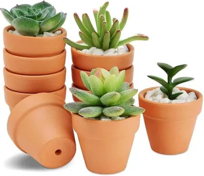 Zdjęcie produktu dla Ceramiczne doniczki na kwiaty – 10 sztuk – terakota