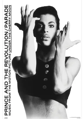 Produktbild von Poster Prince mit offiziellem Echtheitssiegel, 61x91,5 cm