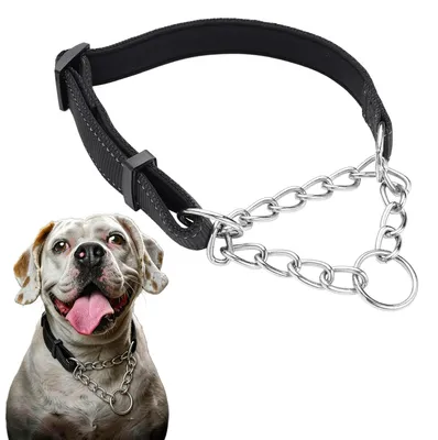Produktbild von Martingalhalsband für Hunde – Verstellbar und reflektierend – Schwarz