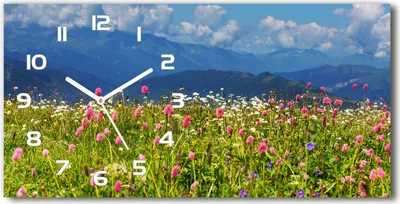 Produktbild von Wanduhr aus Glas – 60x30 cm - Glasbild - Glasuhr - Gehärtetes Glas - weisse-zeiger - Wiese in den Bergen