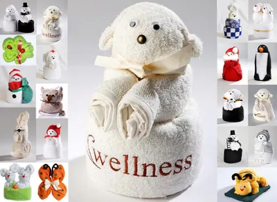 Produktbild von Frottier Geschenk Set viele Modelle Handarbeit Origami Gästetuch Handtuch Waschhandschuh, Motiv/Art:Wellnessbär