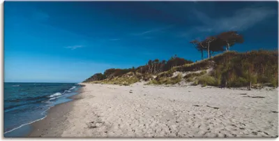 Produktbild von ARTland Leinwandbild Am Weststrand- Ostsee - Darss Größe: 150x75 cm
