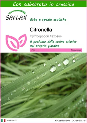 Immagine prodotto di SAFLAX - Citronella - 50 semi - Con substrato - Cymbopogon