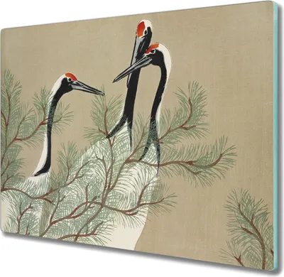 Produktbild von Coloray Schneidebrett Herdabdeckplatte 60x52 cm Kochplattenabdeckung Hackbrett Küchenbrett - Tiere Vögel Zweige