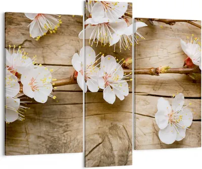 Produktbild von Bild auf Leinwand - Leinwandbild - Blume Stängel - 95x80cm - Wand Bild - Wanddeko - Wandbilder - Leinwanddruck - Bilder - Kunstdruck - Wanddekoration - Leinwand bilder - Wandkunst - CB95x80-3537