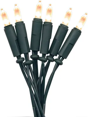 Produktbild von Lichterkette ,P-LED Indoor', grün, 20 P-LEDs, 2,85m
