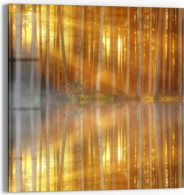 Produktbild von DEQORI Glasbild Echtglas 30x30 cm 'Waldspiegelung am See' Wandbild Bild modern Deko