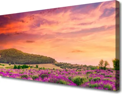 Produktbild von Tulup Leinwand-Bilder 100x50 Wandbild Canvas Kunstdruck Wiese Blumen Landschaft